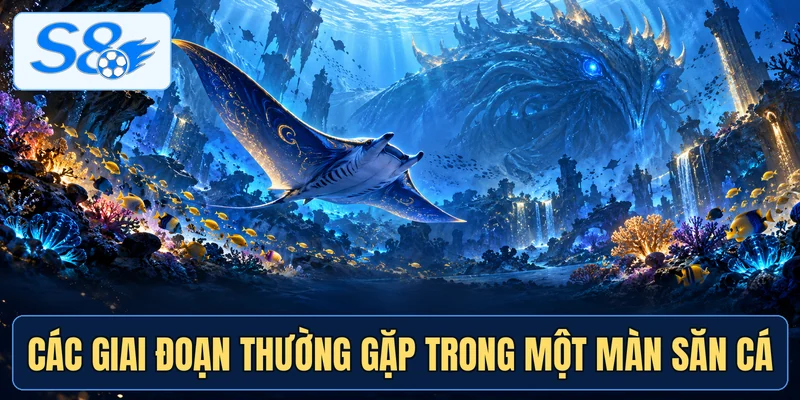 Các giai đoạn thường gặp trong một màn săn cá