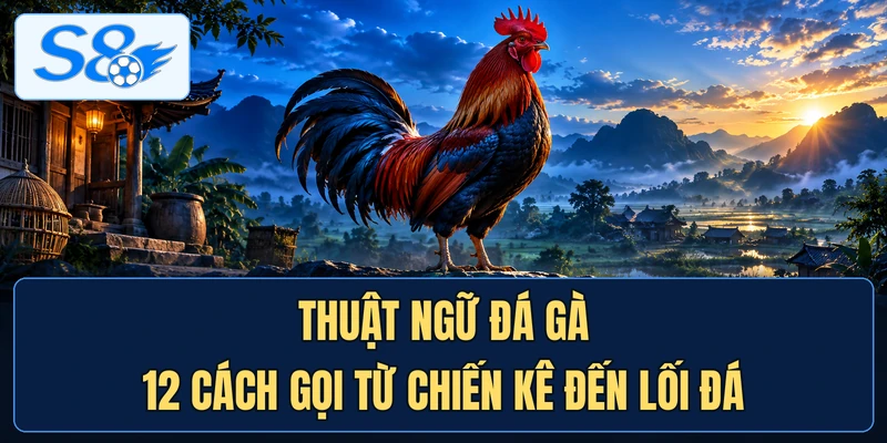 Thuật Ngữ Đá Gà - 12 Cách Gọi Từ Chiến Kê Đến Lối Đá